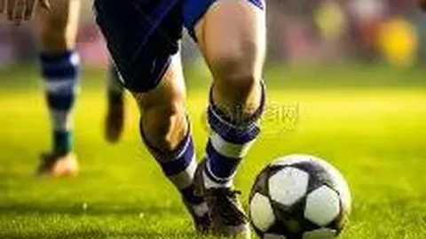 广东体彩网 资讯 095231 6cu