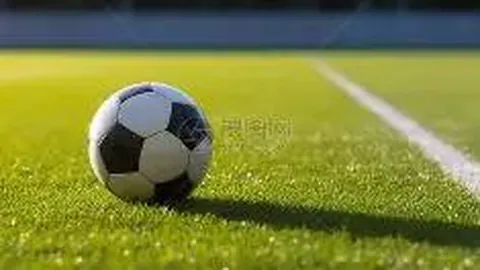 广东体彩网 资讯 095455 37y