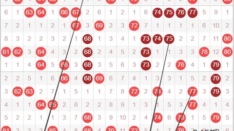 2026020期大乐透龙头凤尾预测：专家合数区推荐