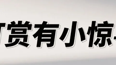 广东体彩网