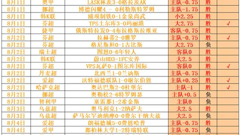 杨瀚森亚洲篮球新星崛起：身体与智慧双全，独树一帜进步显著